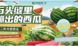吃瓜 热门大瓜每日大赛,热门大瓜大赛精彩纷呈